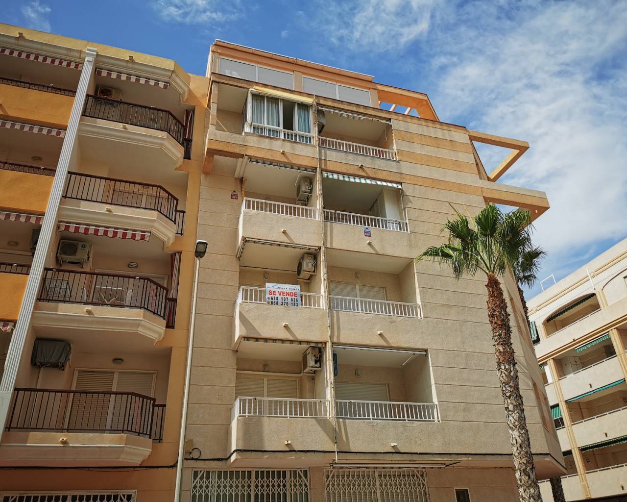 Apartamento * Piso - Alquiler a largo plazo - Guardamar Del Segura - Mercadona Area