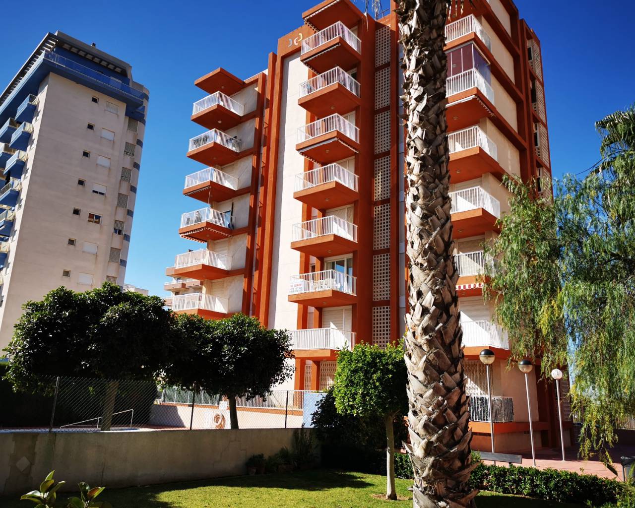 Apartment - Alquiler a largo plazo - Guardamar Del Segura - SUP-7 & PUERTO