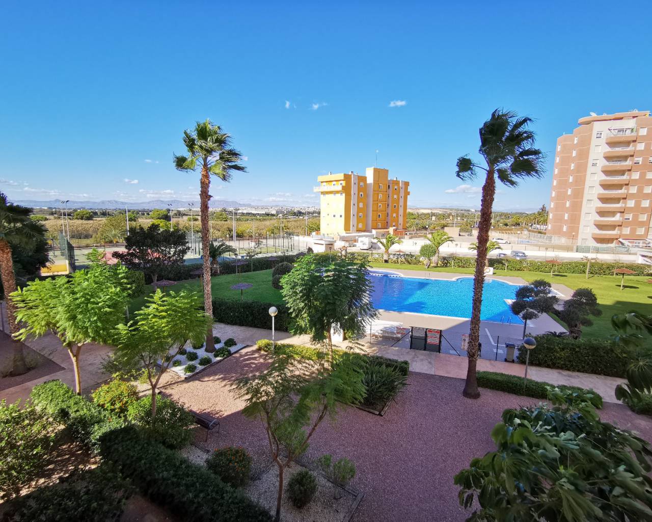 Apartment - Alquiler a largo plazo - Guardamar Del Segura - ZH0154