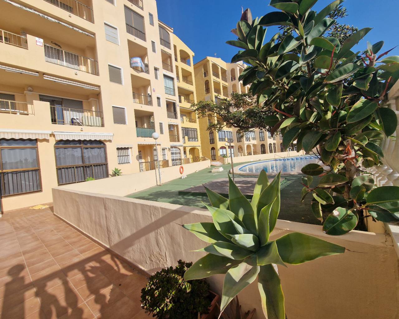 Apartment - Resale - Guardamar Del Segura - ZH0317