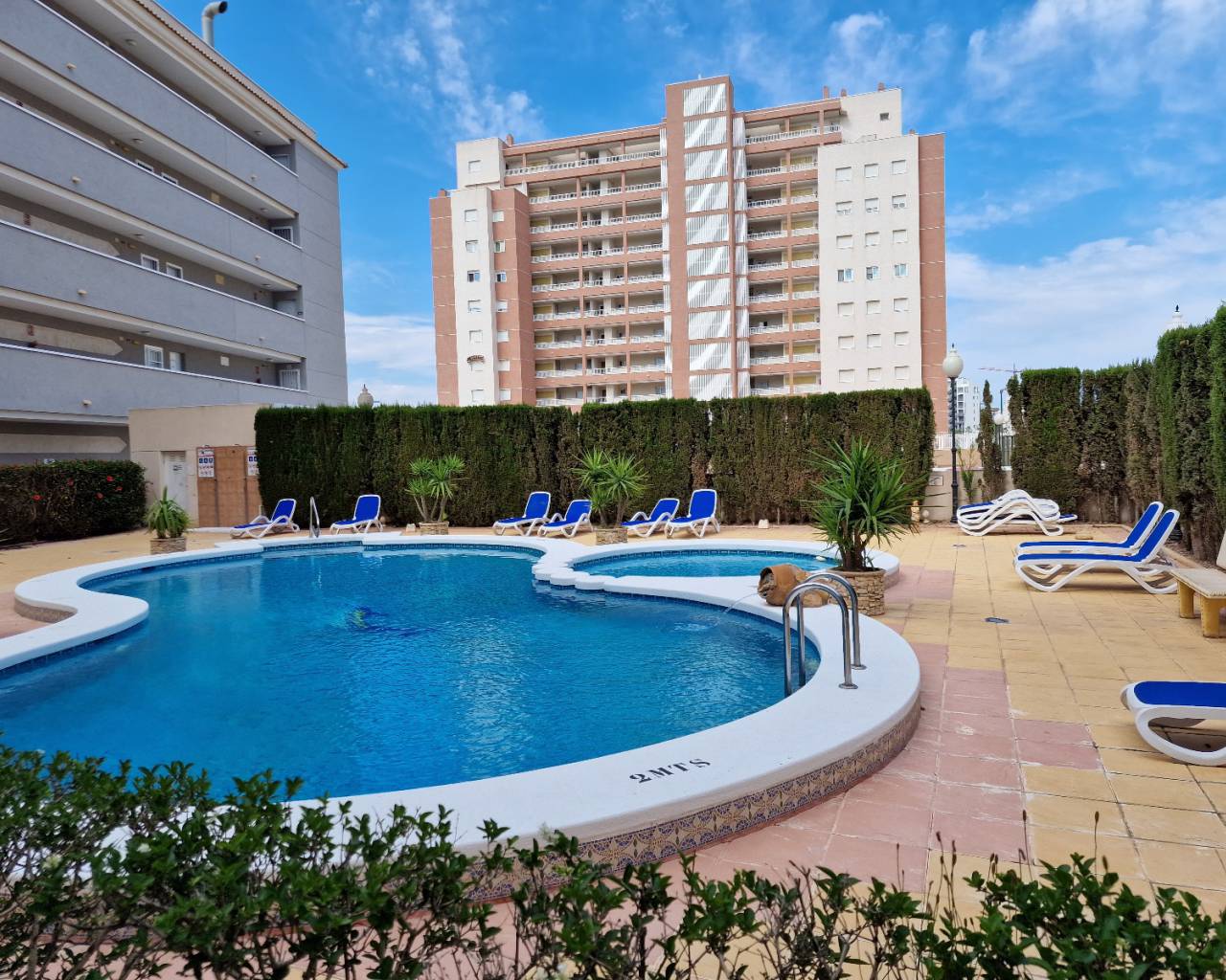 Apartment - Resale - Guardamar Del Segura - ZH0360
