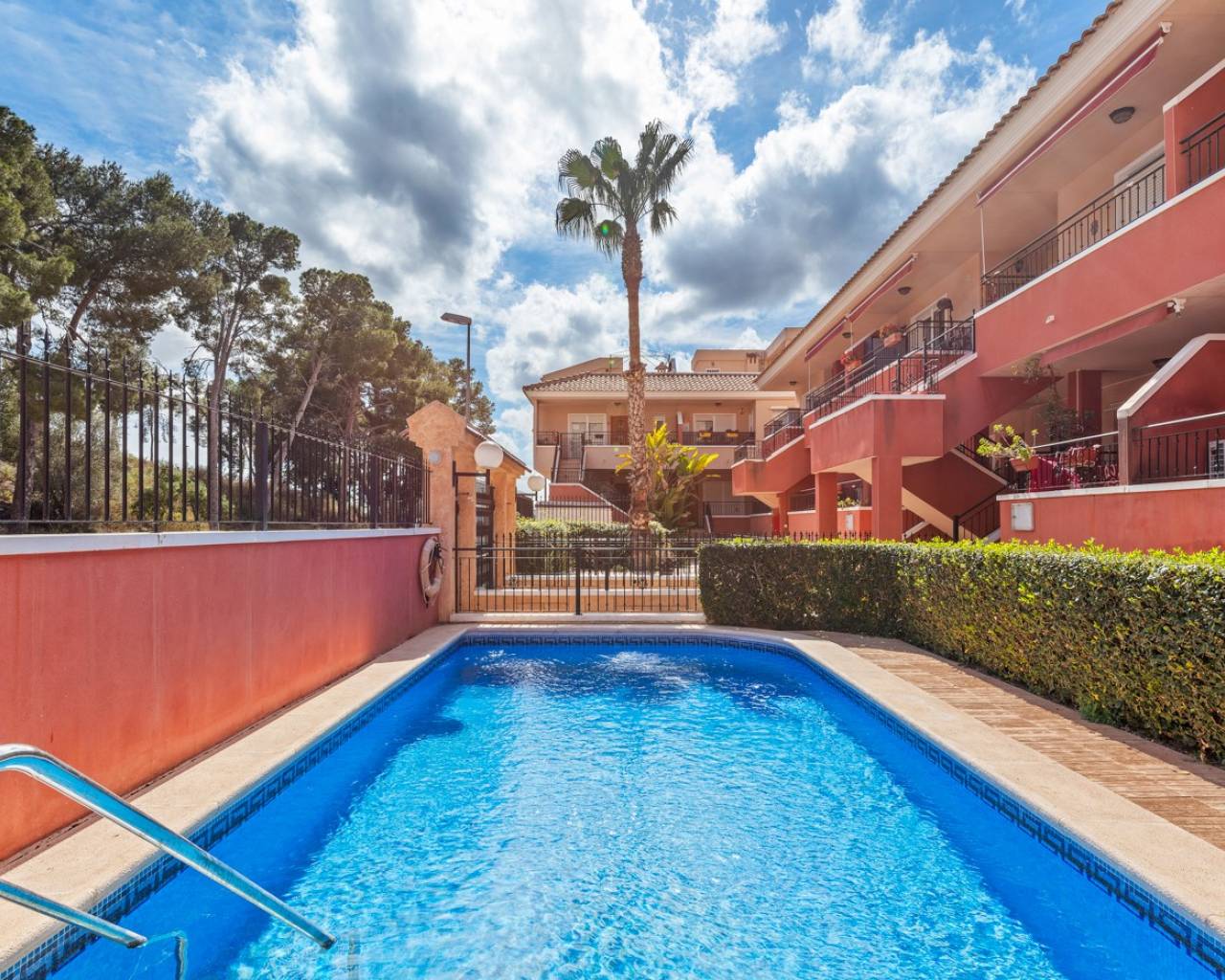 Apartment - Resale - Orihuela - Orihuela