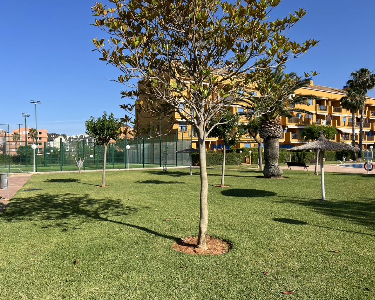 Apartment - Venta - Denia - Les Marines