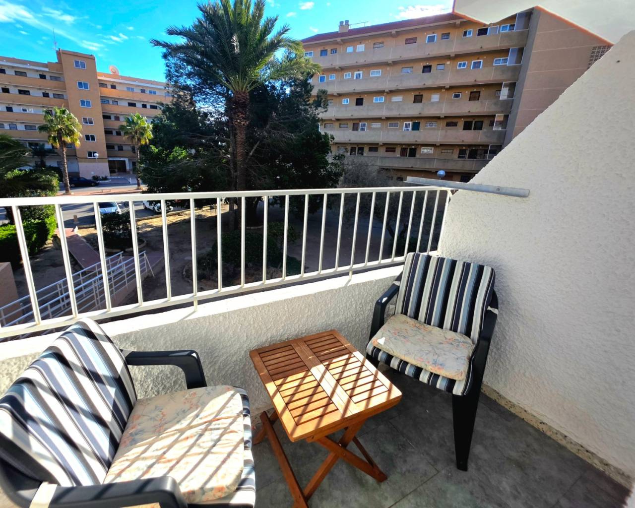Apartment - Venta - Guardamar Del Segura - Pinomar