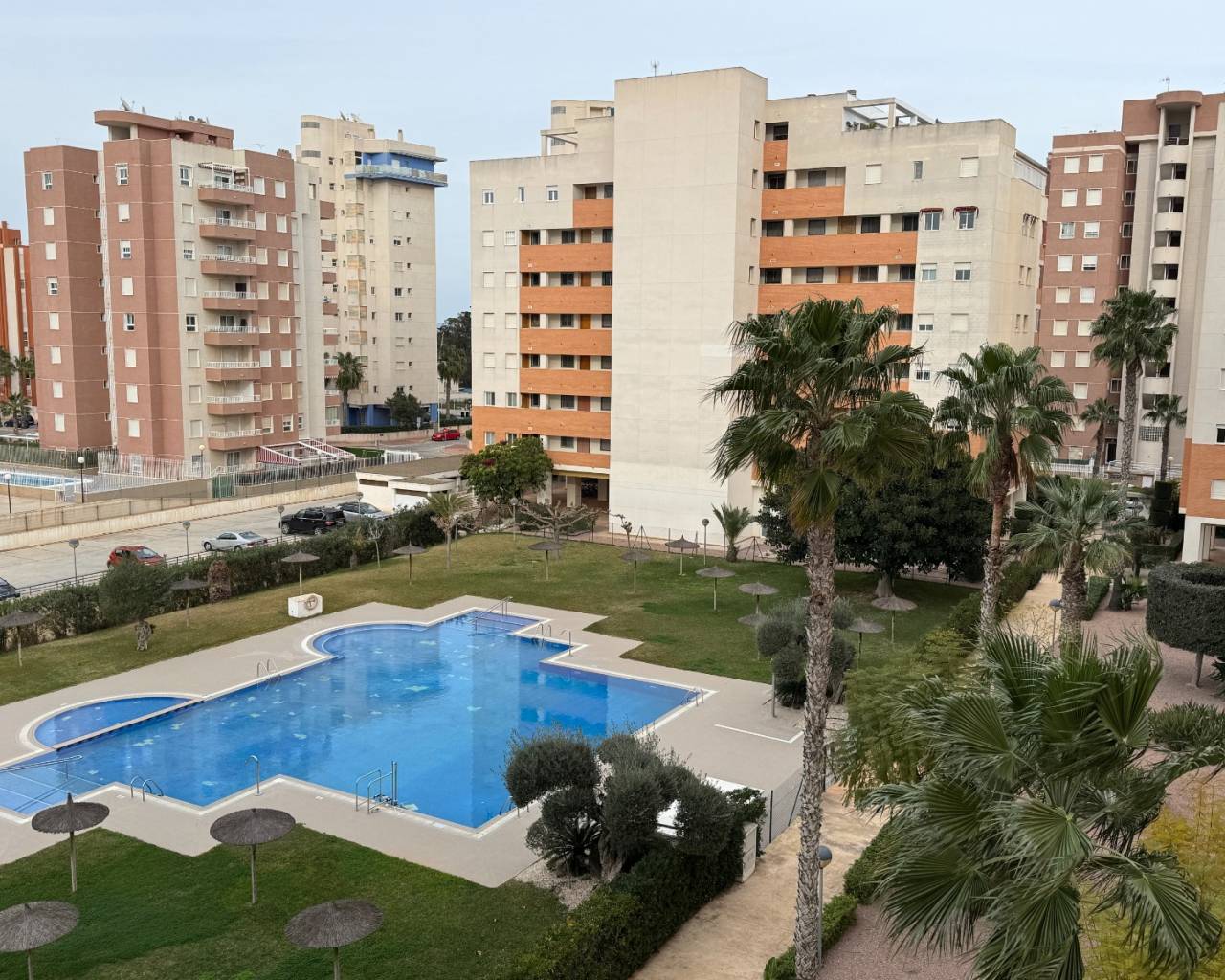 Apartment - Venta - Guardamar Del Segura - Puerto