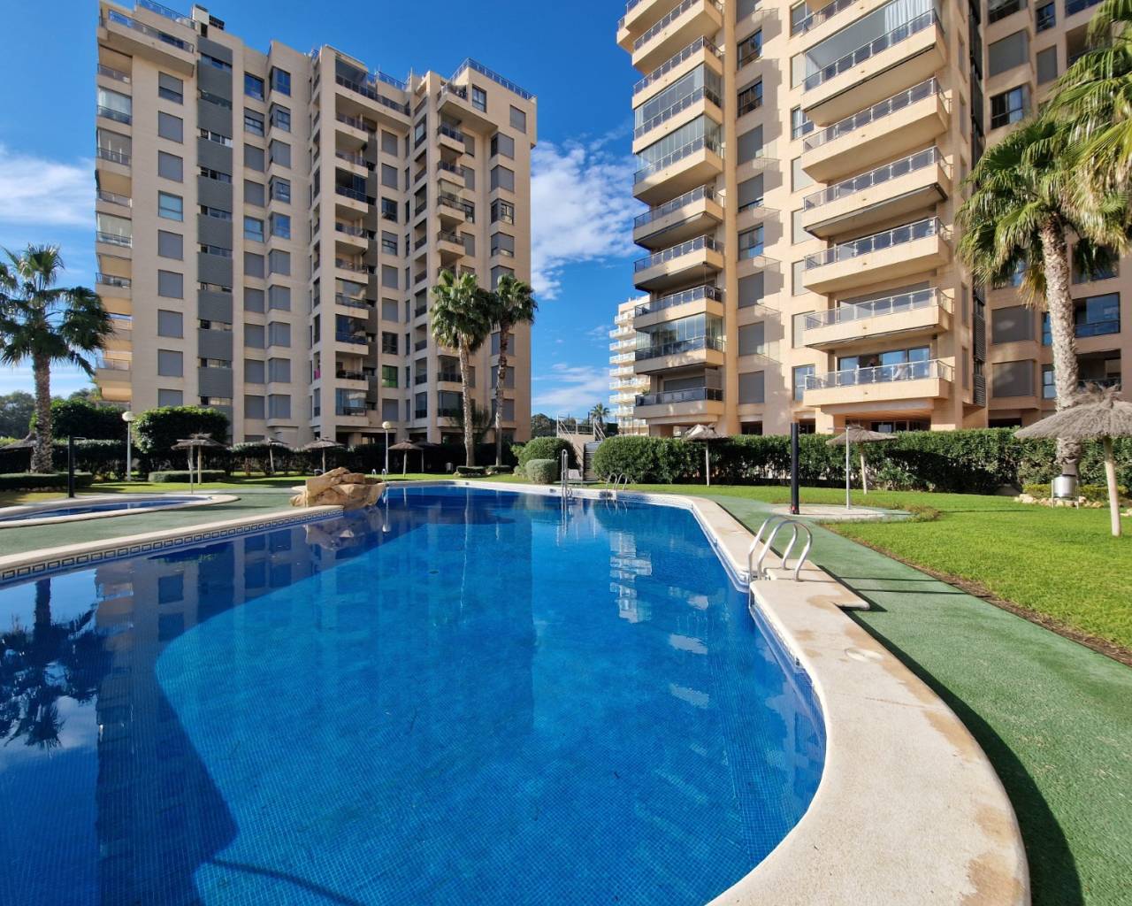 Apartment - Venta - Guardamar Del Segura - SUP-7 & PUERTO