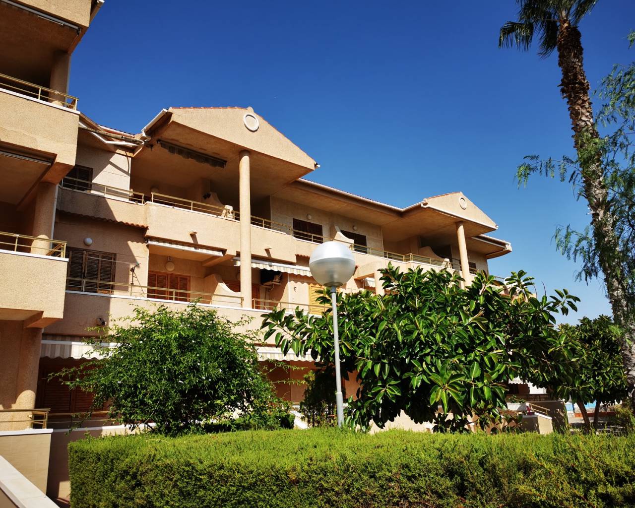 Apartment - Venta - Guardamar Del Segura - ZH0148