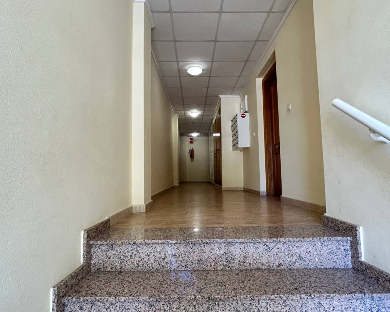 Apartment - Venta - Jacarilla - pueblo