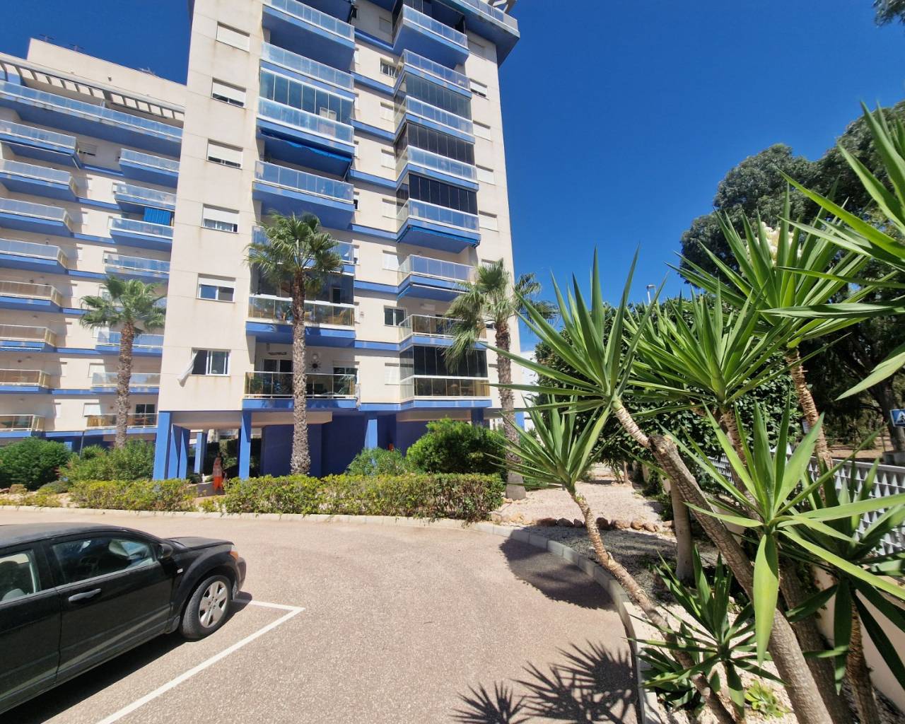 Apartment - Wederverkoop - Guardamar Del Segura - ZH0462