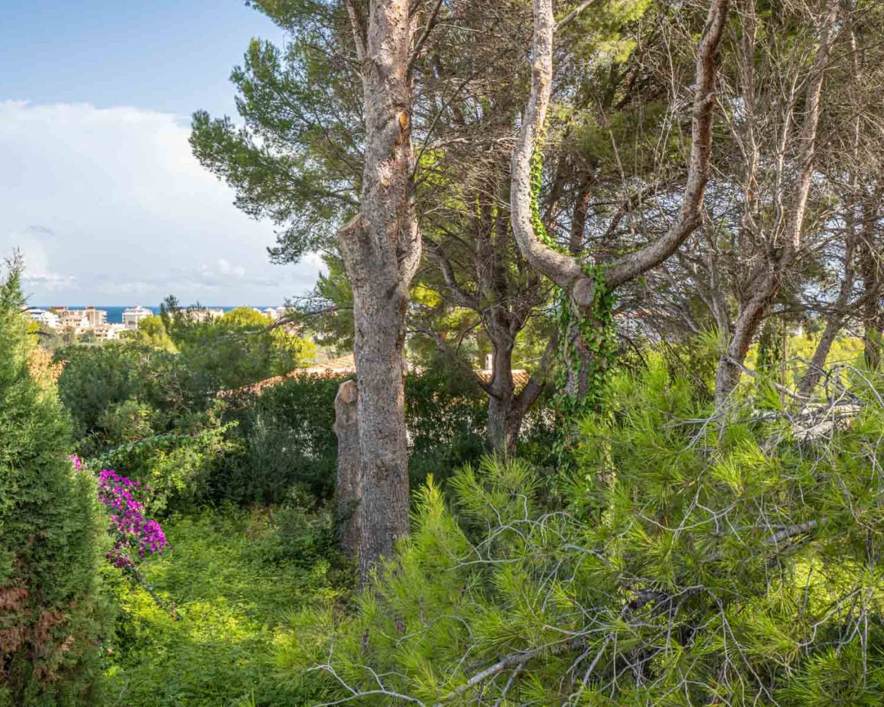 Building Plot - Resale - Jávea - Adsubia