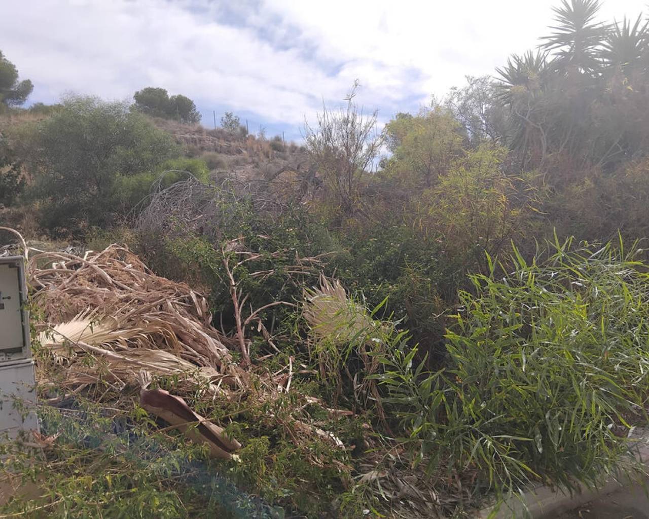 Building Plot - Wederverkoop - Algorfa - Algorfa
