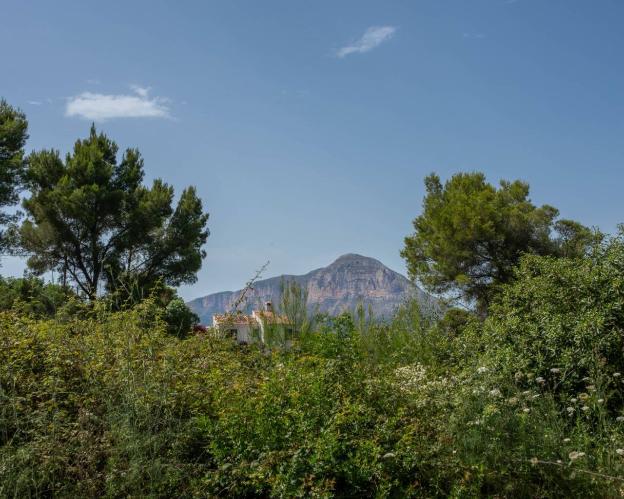 Building Plot - Wederverkoop - Jávea - Rafalet