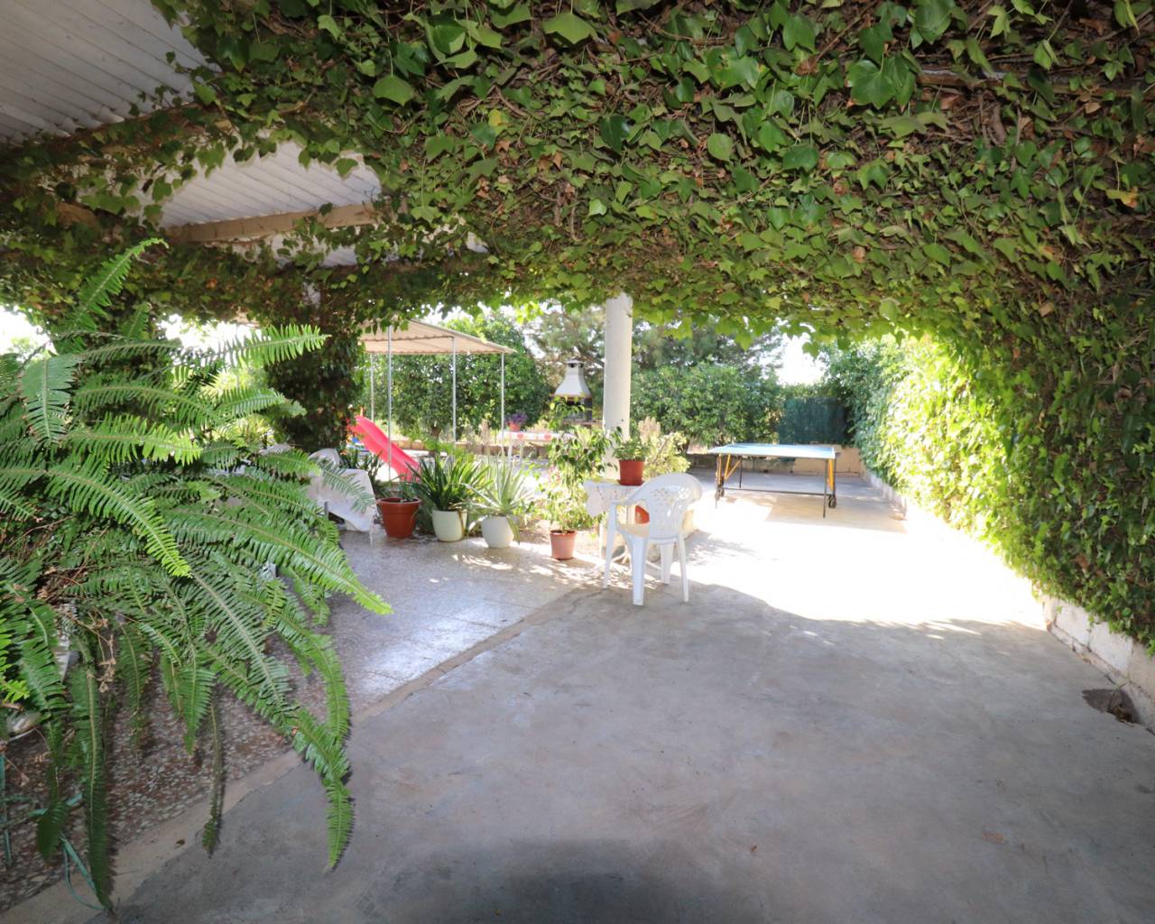 Finca - Casa de Campo - Venta - Albatera - C17ZH-12320