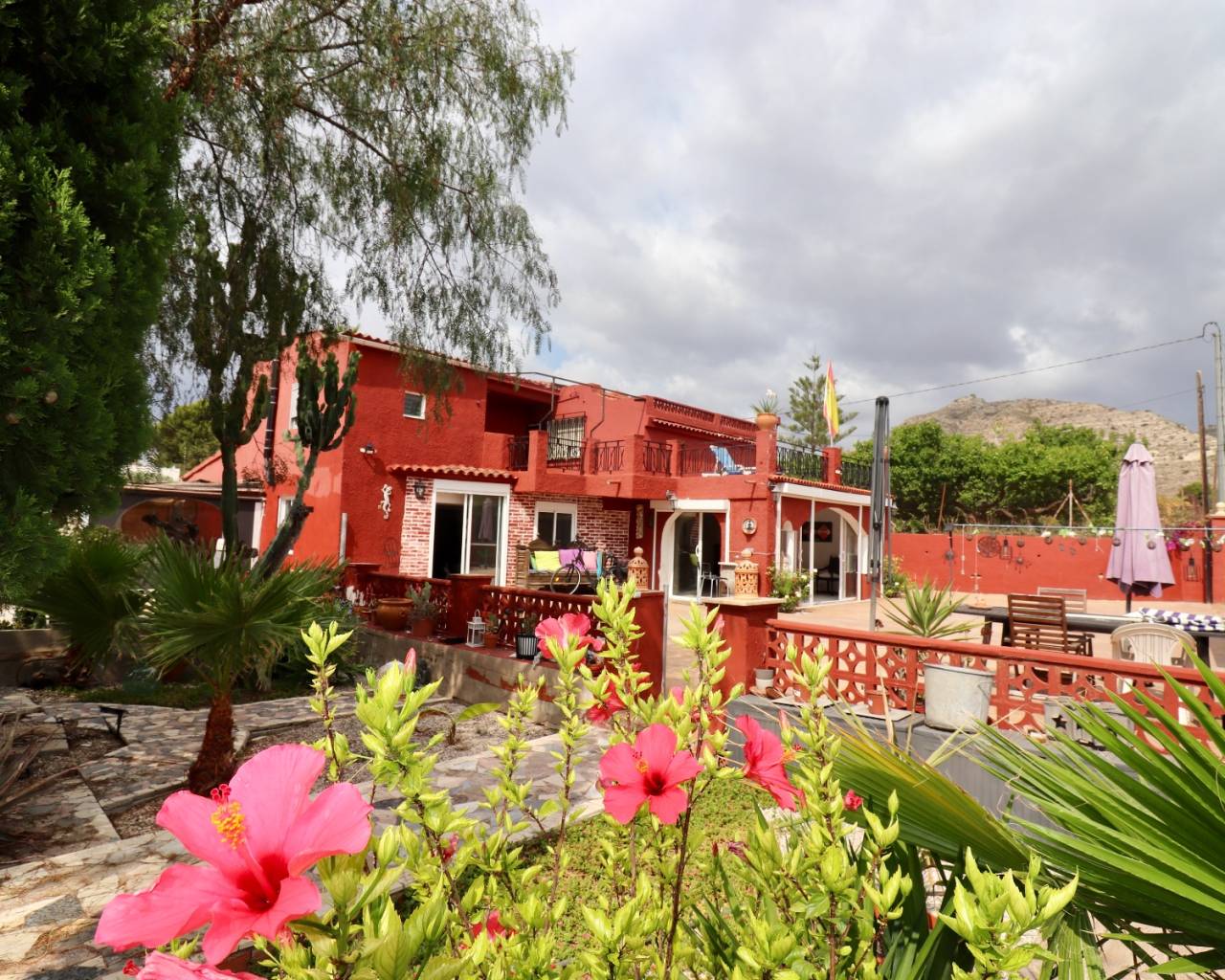 Finca - Casa de Campo - Venta - Aspe - Aspe