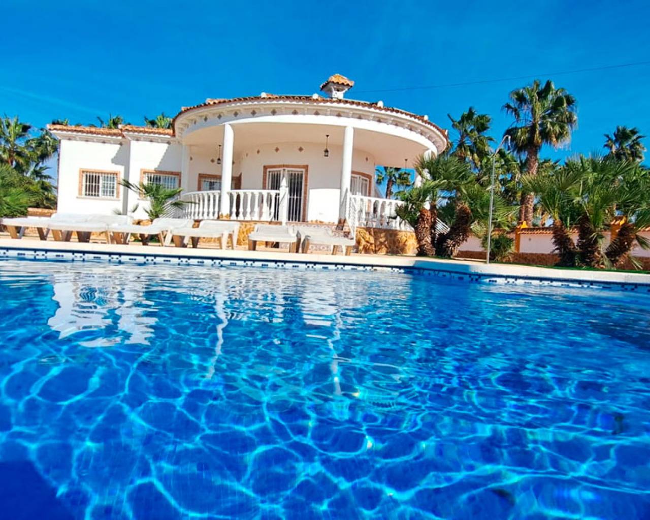 Finca - Casa de Campo - Venta - Catral - Catral