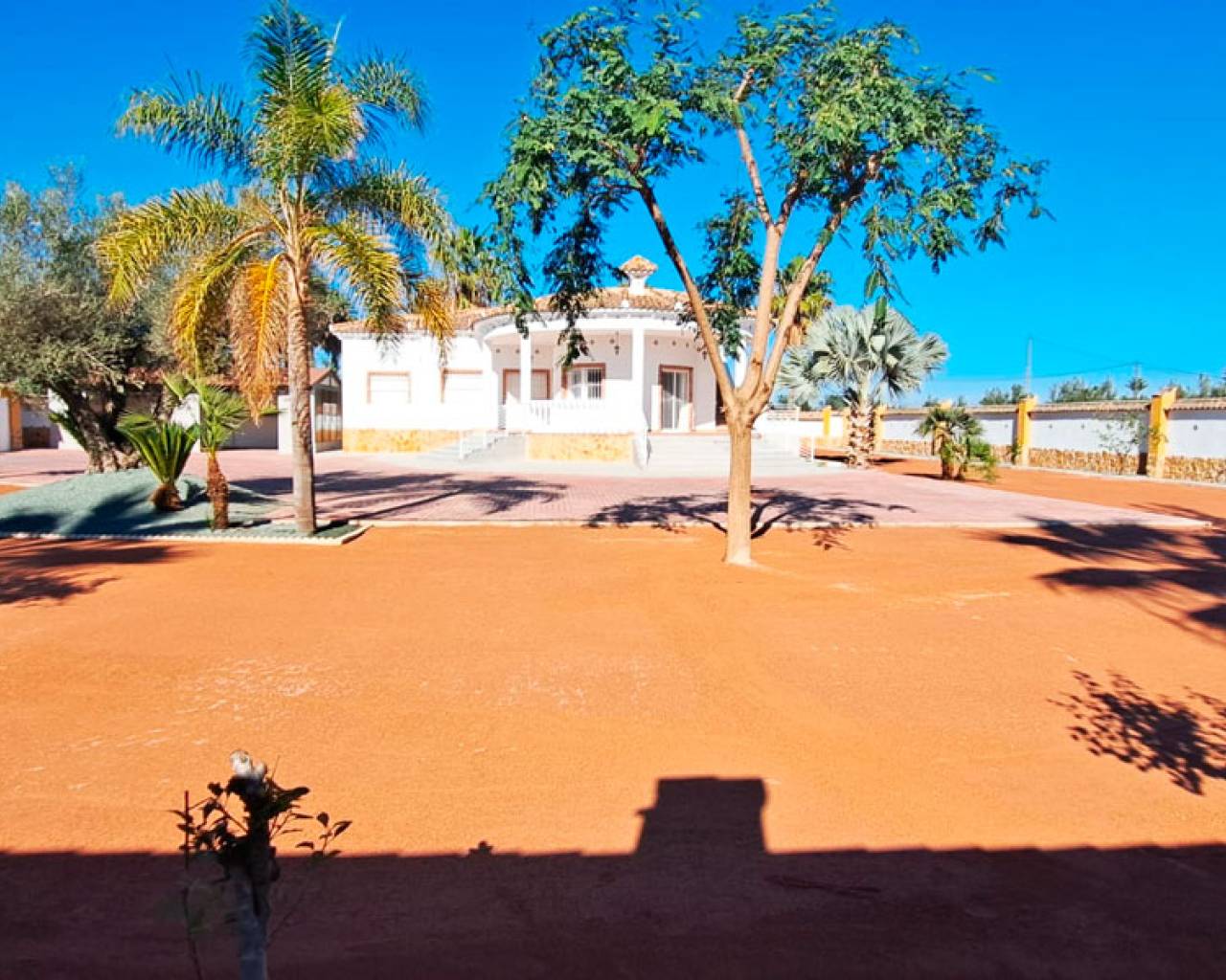 Finca - Casa de Campo - Venta - Catral - Catral