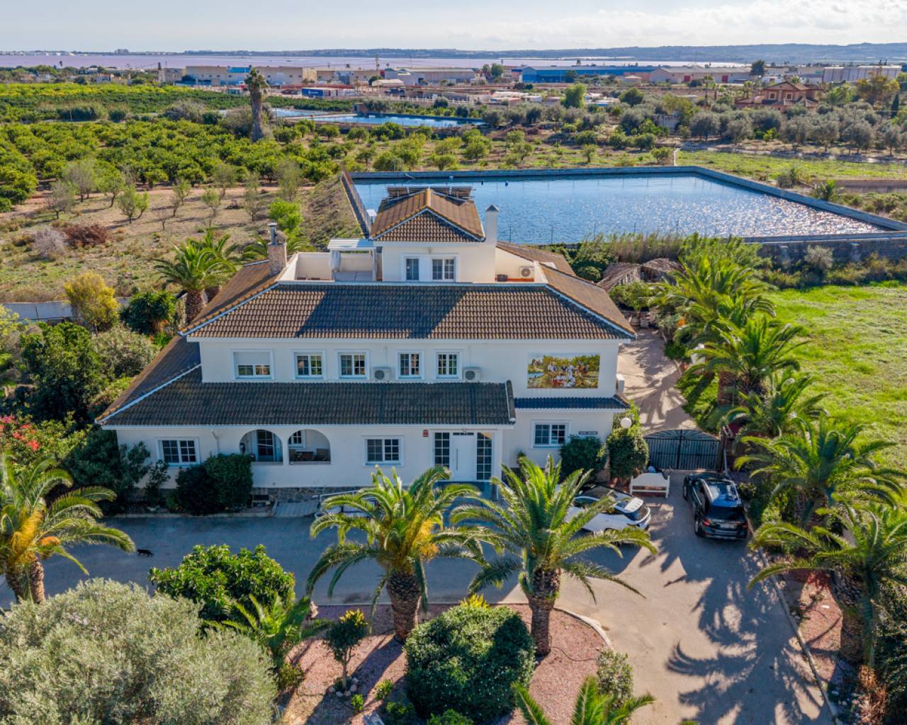 Finca - Casa de Campo - Venta - Los Montesinos - Los Montesinos