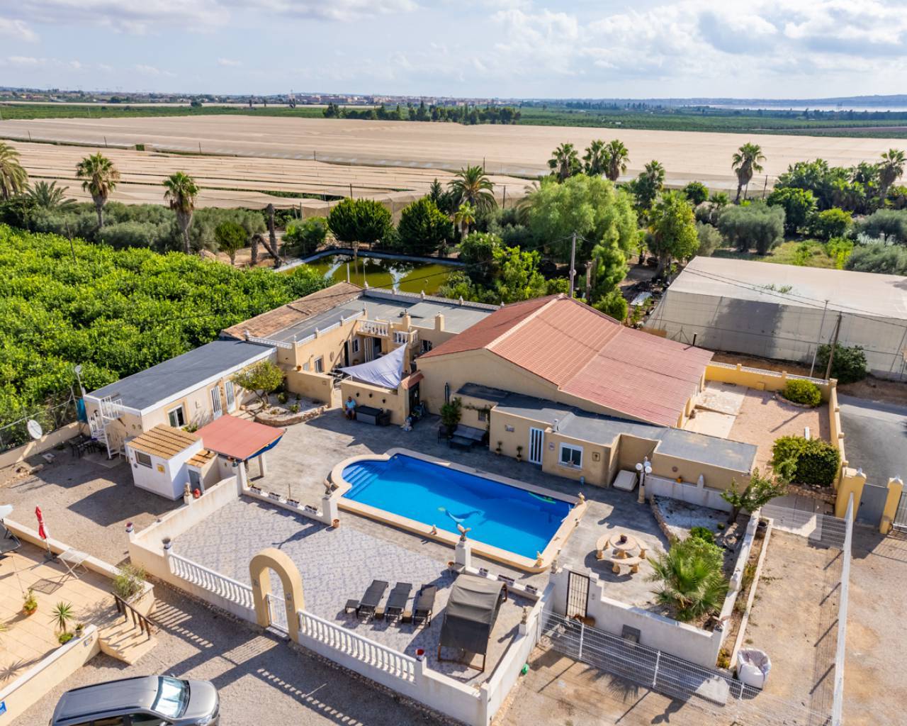 Finca - Casa de Campo - Venta - Los Montesinos - Los Montesinos