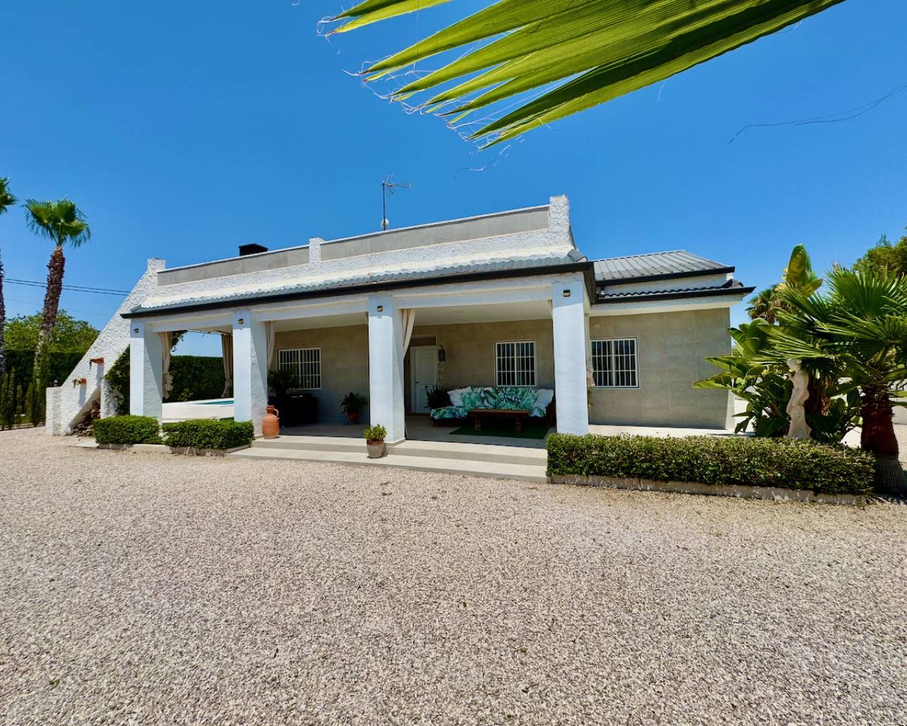 Finca - Casa de Campo - Venta - Torrellano - Torrellano
