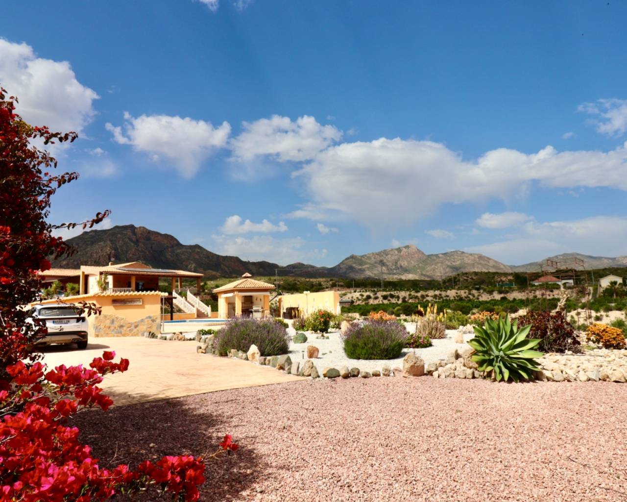 Finca - Country Property - Resale - Albatera - Albatera