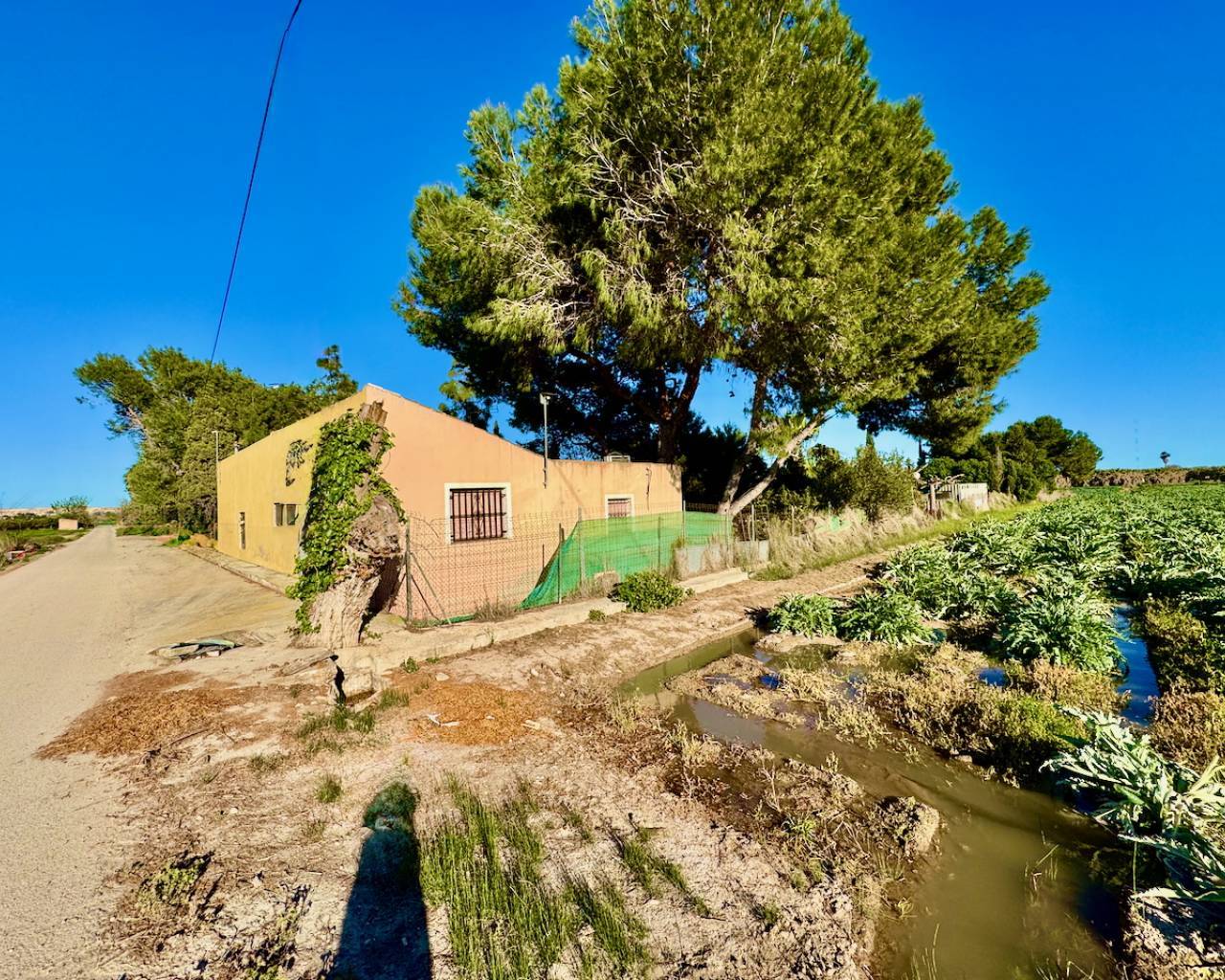 Finca - Country Property - Resale - Guardamar Del Segura - Guardamar del Segura