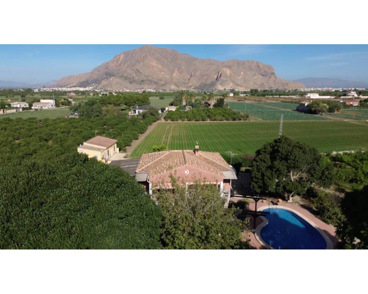 Finca - Country Property - Resale - Orihuela Costa - C7ZH-94804