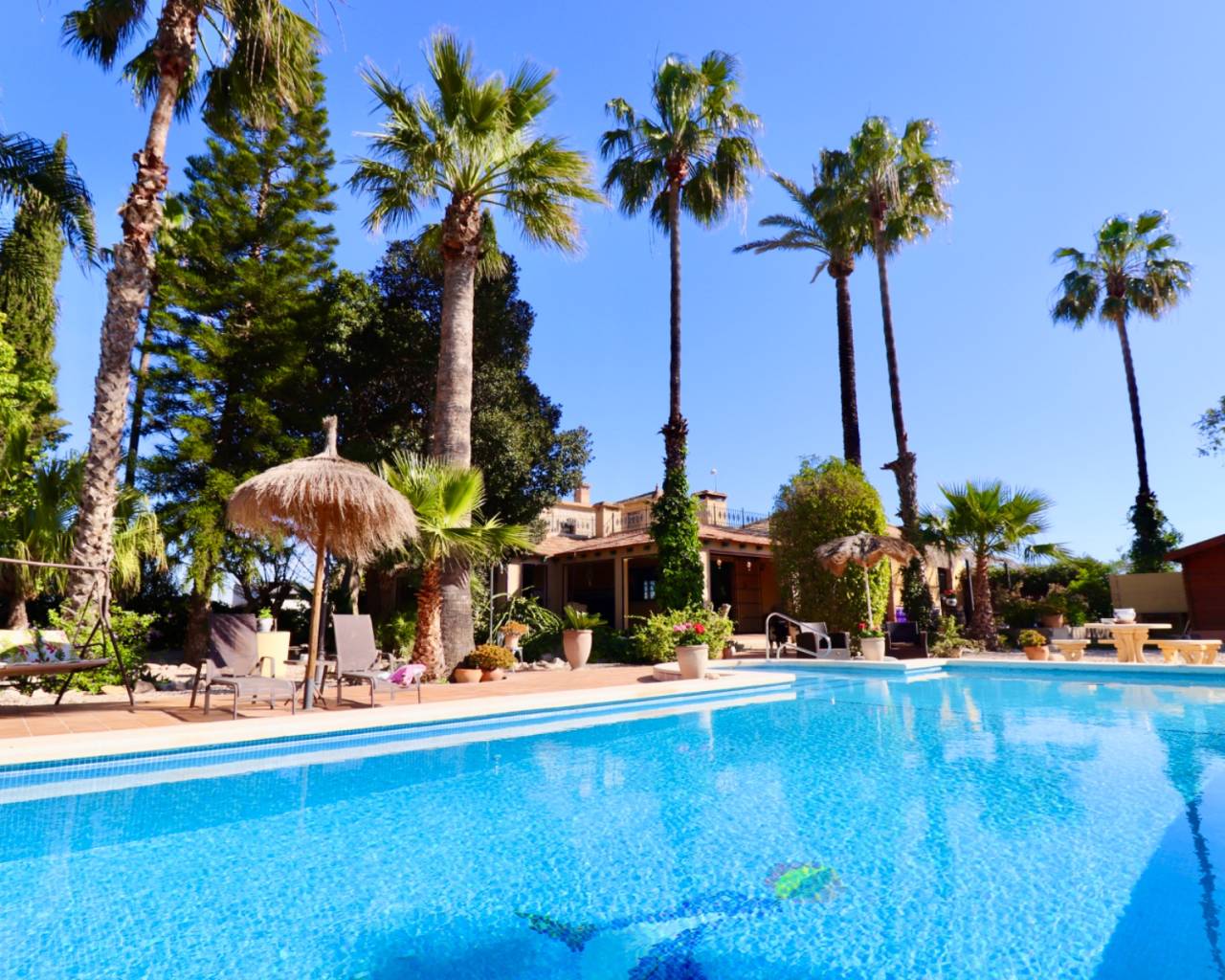 Finca - Country Property - Resale - Rojales - C17ZH-22043