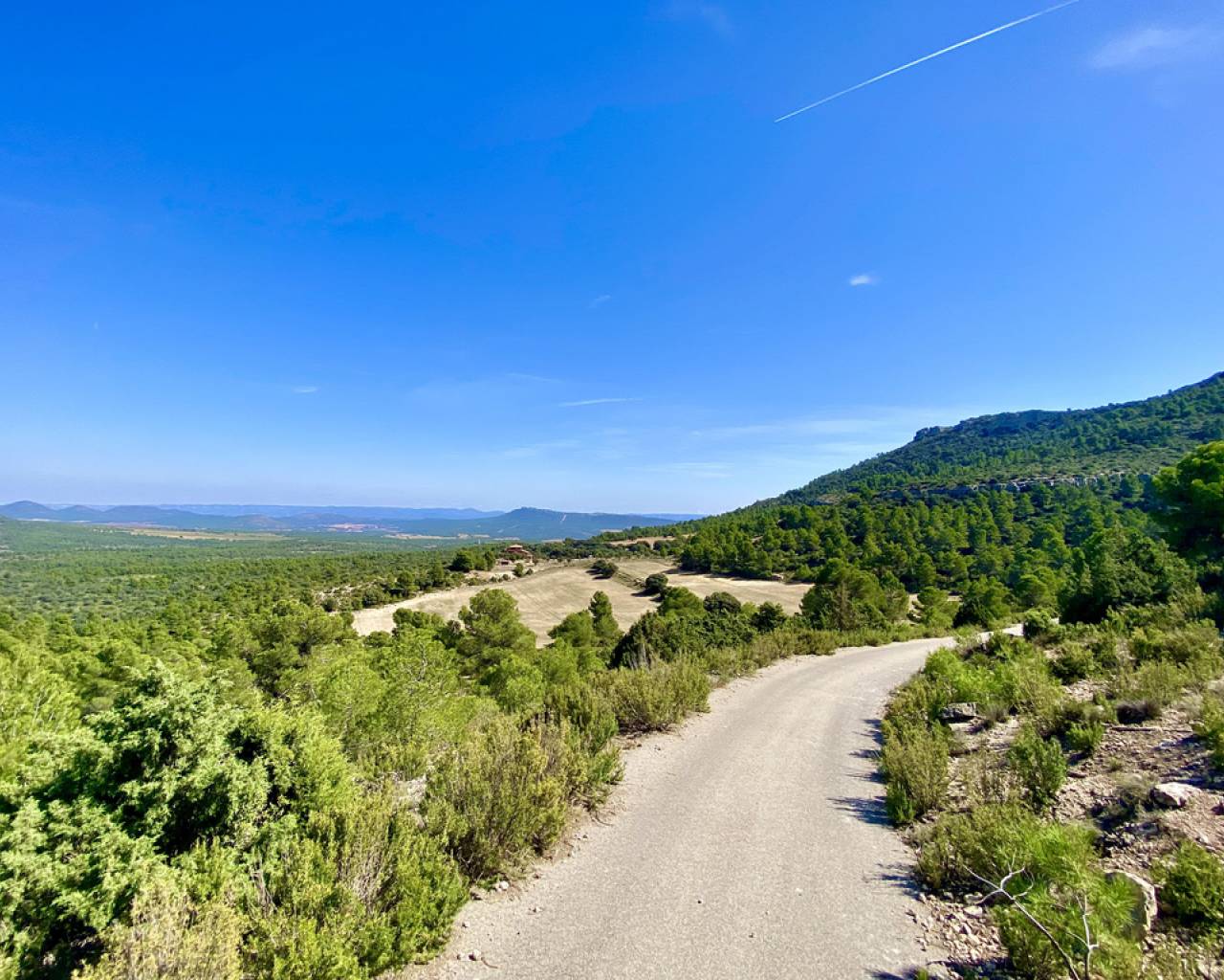 Finca - Country Property - Wederverkoop - Ayora - C15ZH-16049