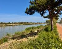 New Build - Apartment - Guardamar Del Segura - puerto deportivo