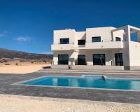 New Build - Villa - Pinoso - Camino Del Prado