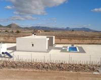 New Build - Villa - Pinoso - Camino Del Prado