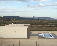 New Build - Villa - Pinoso - Camino Del Prado