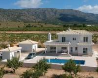 New Build - Villa - Pinoso - Camino Del Prado