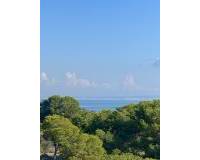 Nieuw gebouw - Apartment - Guardamar Del Segura - Guardamar del Segura