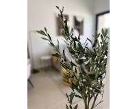 Nieuw gebouw - Apartment - San Fulgencio - Pueblo