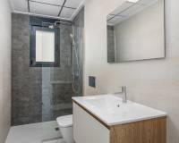 Nieuw gebouw - Apartment - San Miguel de Salinas