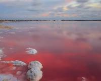 Nieuw gebouw - Apartment - Torrevieja - Lago Jardín II