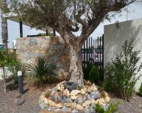 Nieuw gebouw - Apartment - Torrevieja