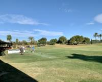 Nieuw gebouw - Bungalow - San Javier - Roda Golf