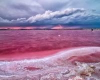 Nieuw gebouw - Bungalow - Torrevieja - Altos del Sol