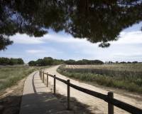 Nieuw gebouw - Bungalow - Torrevieja - Torrejón