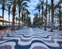 Nieuw gebouw - Penthouse - Alicante - Benalua