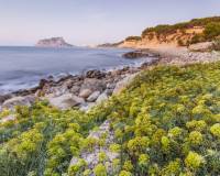 Nieuw gebouw - Villa - Benissa - Cala Advocat