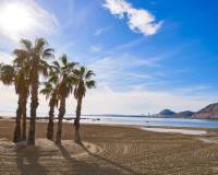 Nieuw gebouw - Villa - Els Poblets - Partida Barranquets