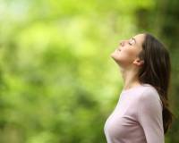 Nieuw gebouw - Villa - Finestrat