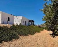 Nieuw gebouw - Villa - Jumilla - Torre del Rico