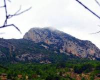 Nieuw gebouw - Villa - La Romana - Batistes