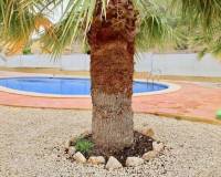 Nieuw gebouw - Villa - La Romana - Villas de la Romana