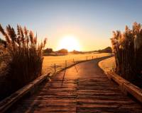 Nieuw gebouw - Villa - Pilar de la Horadada - Lo Romero Golf