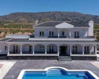 Nieuw gebouw - Villa - Pinoso - Camino Del Prado